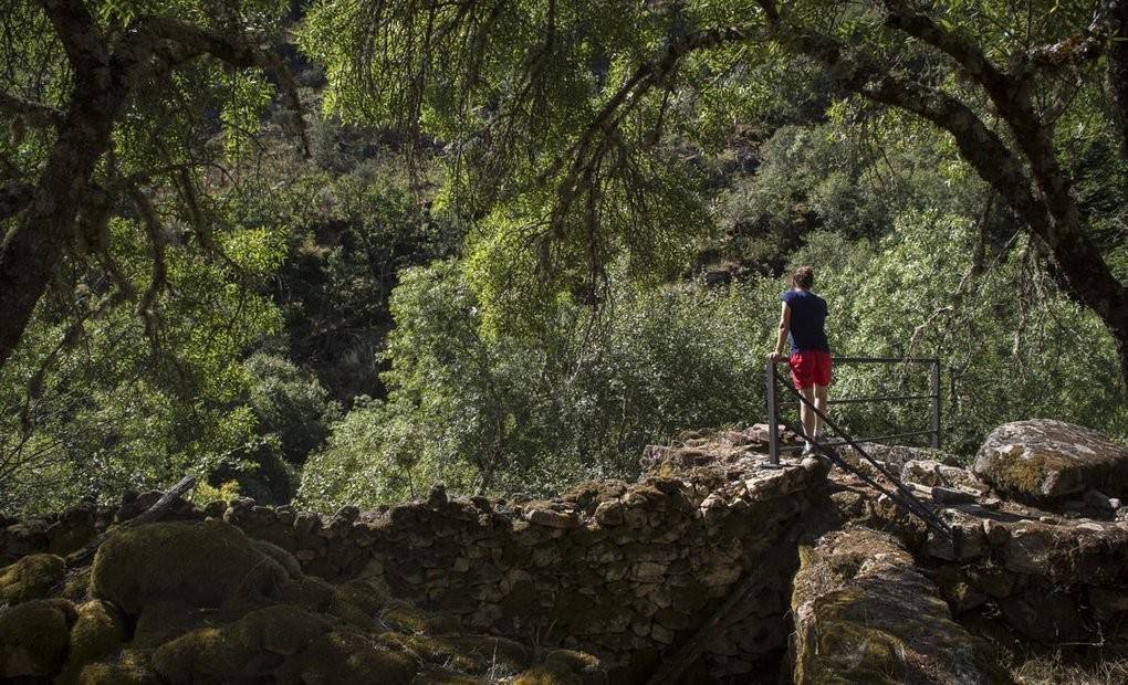 Entre molinos harineros, bosques de helechos y perronillas