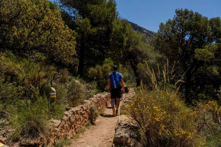 Acequia senda de la hidroeléctrica