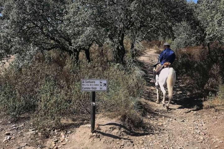 Camino Viejo Santuario Andújar