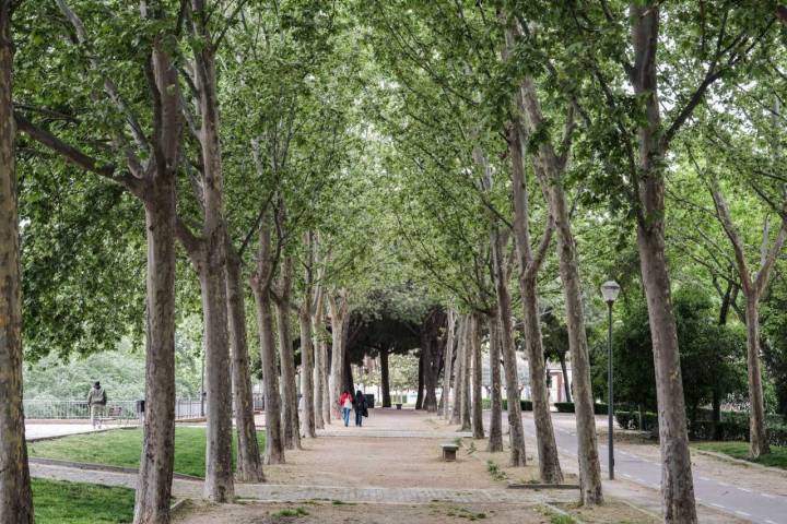 Paseo paralelo al río Tajo por el que se pasea en la ciudad toledana.