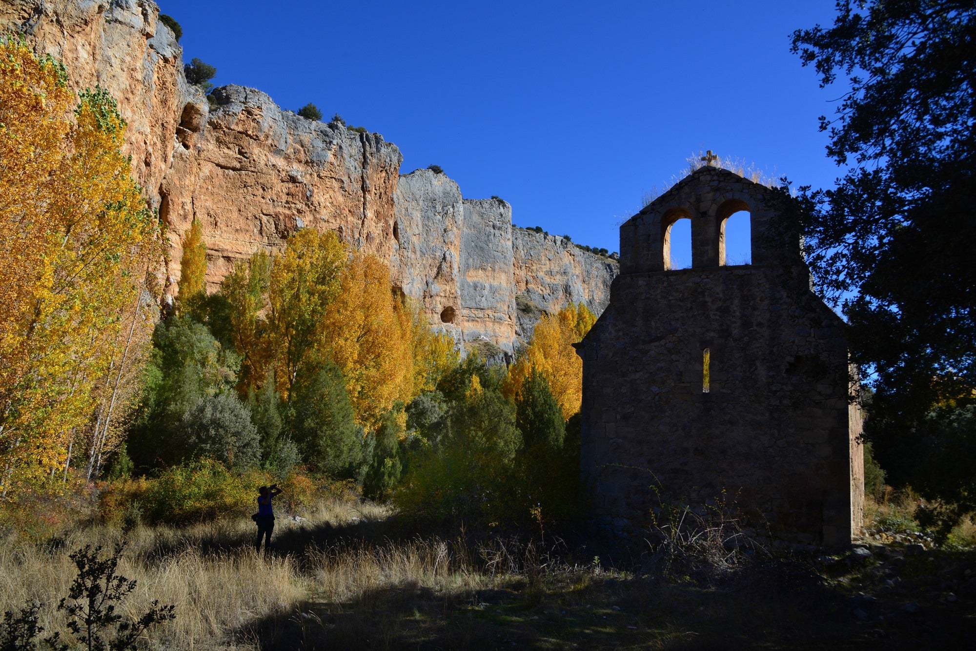 Tipos de bosques otoño iglesia en alameda