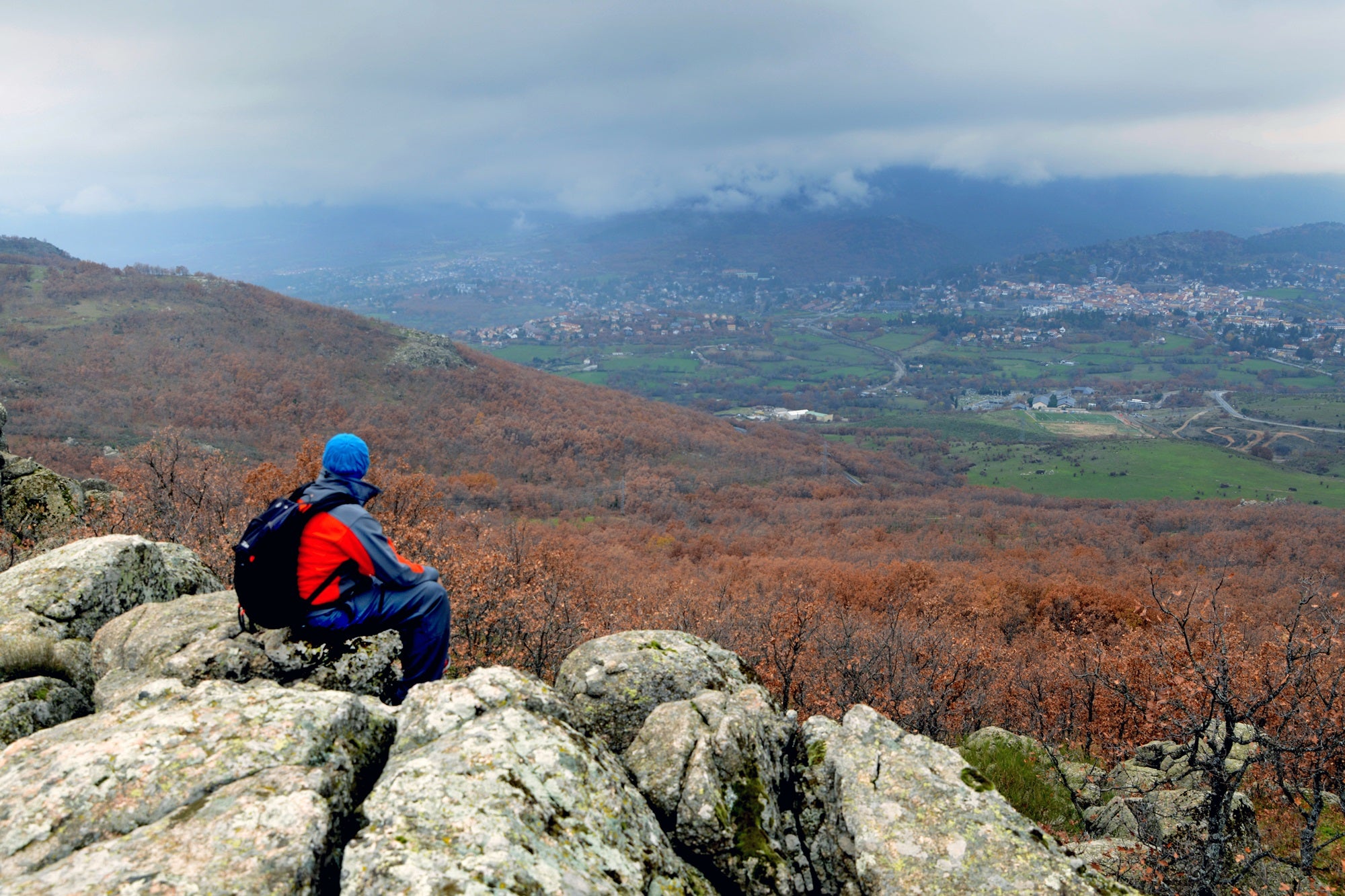 Tipos de bosques otoño robledal en invierno