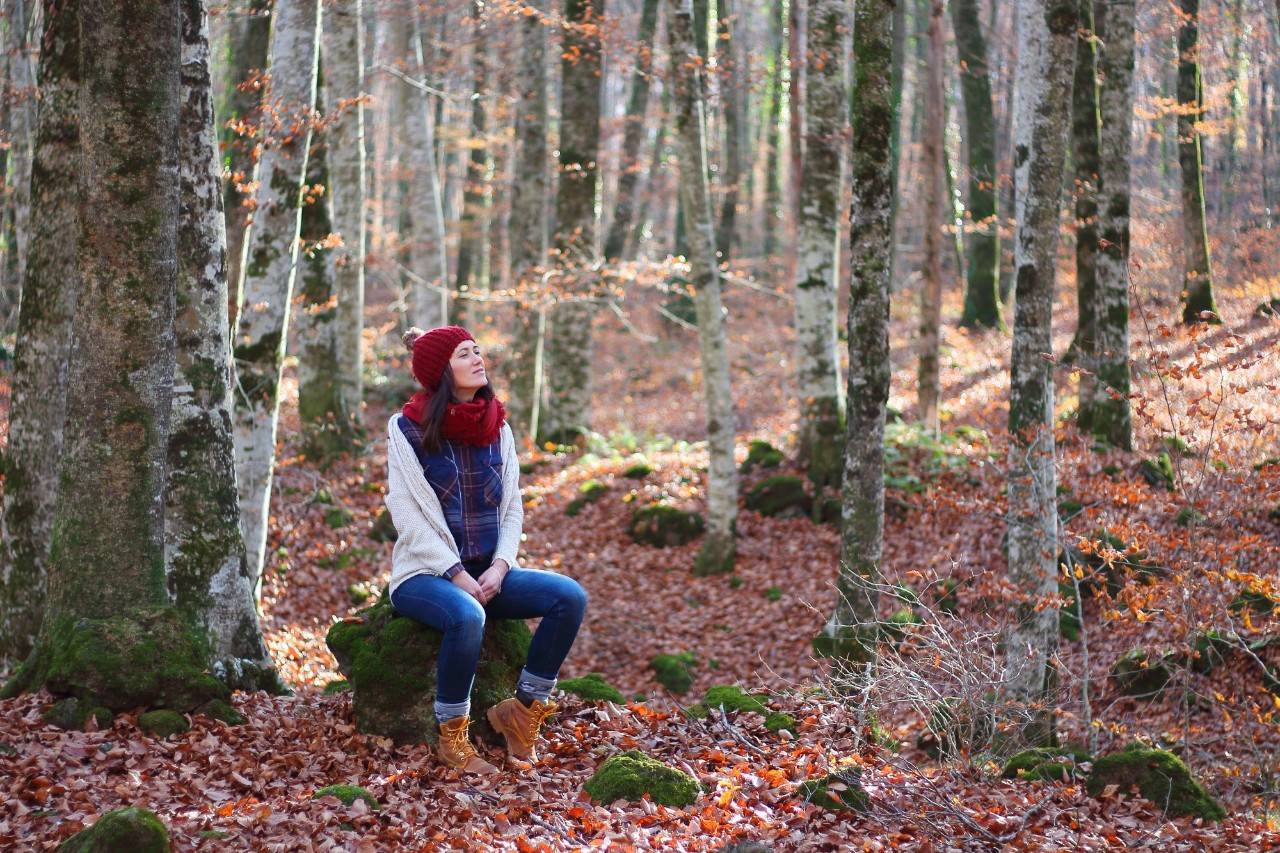 La Fageda d'en Jordà es una de las 28 reservas naturales del Parque Natural de la Zona Volcánica de La Garrotxa. Foto: Shutterstock.