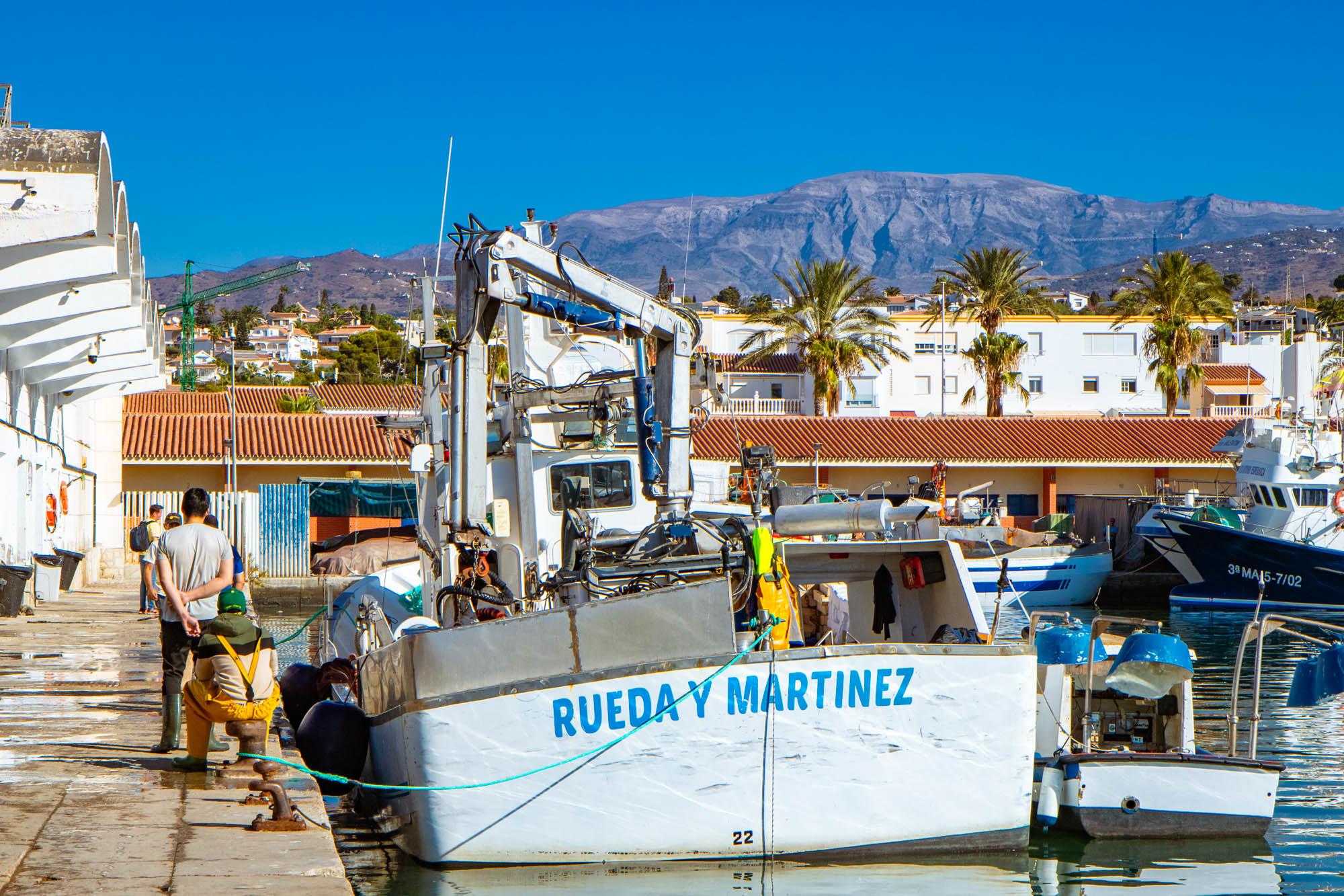 Barcos atracados junto a la lonja.
