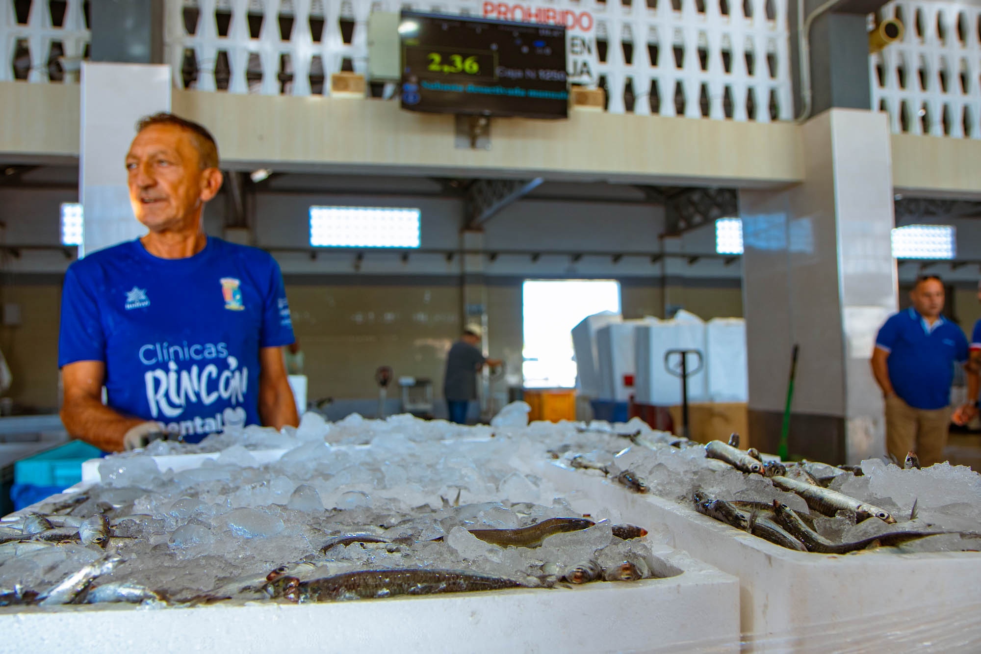 Se puede acceder a la lonja con las experiencias de turismo marinero de Catamarán Zostera.