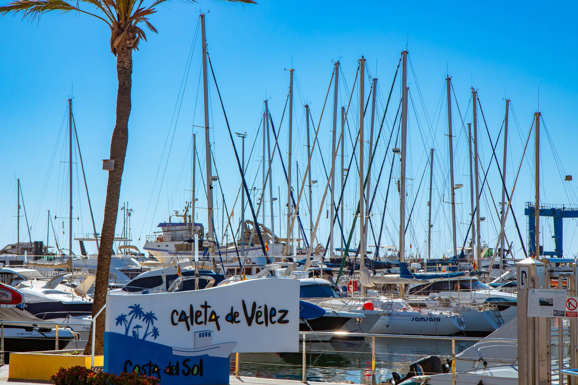 Barcos atracados en el puerto.
