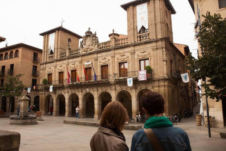 día viana navarra que ver