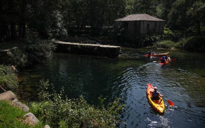 Zona del río en la ruta con kayak.