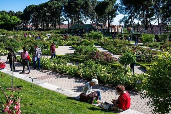 Unas señoras reposan junto a los rosales de La Rosaleda en el Parque del Oeste, Madrid.