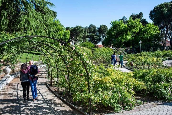 Una pareja pasea bajo las pérgolas cubiertas de rosales de La Rosaleda del Parque del Oeste, Madrid.