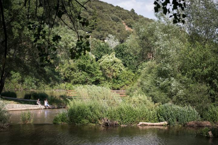 Naturaleza en estado puro.