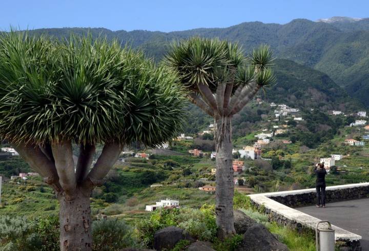 Mirador del Enamorado La Palma