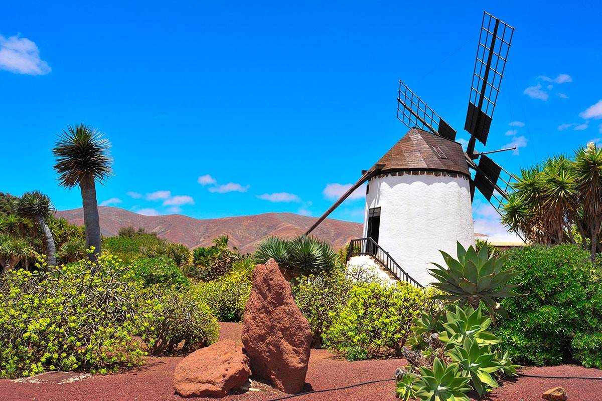 Fuerteventura 'la guapa'