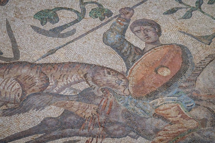 Leopardo atacando al caballo. 