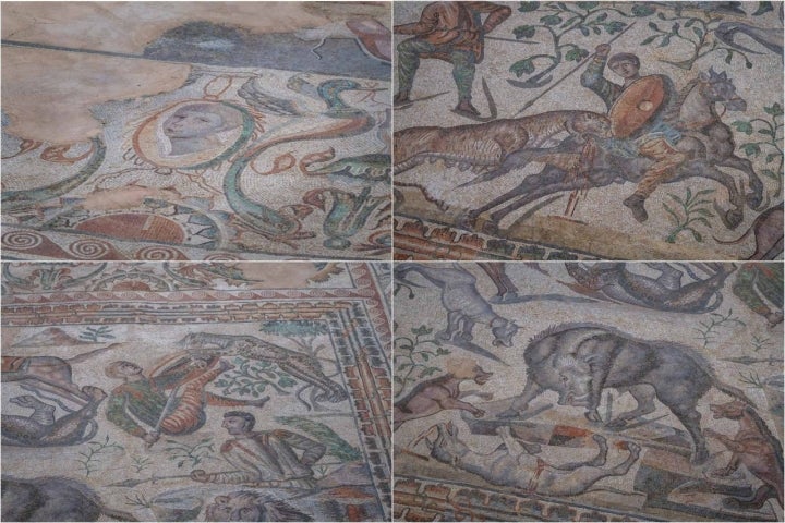 Aves-delfín, leopardos, perros, caballos. Animales africanos, algunos ya extinguidos.