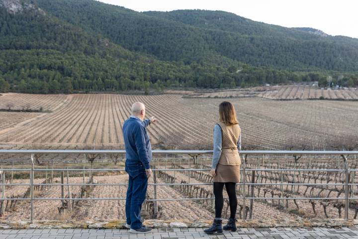 Villena Bodega Sierra de Salinas