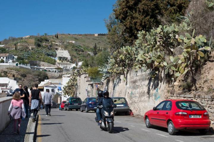 Chumberas y el aloe vera, de lo poco que sobrevive al Sacromonte de hace un siglo.