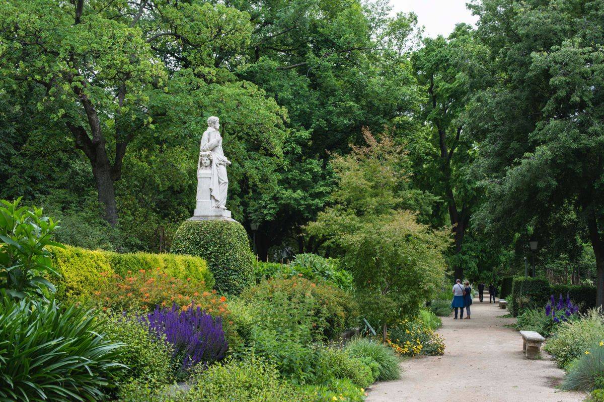 Curso de Botánica exprés para hablar el lenguaje de las plantas