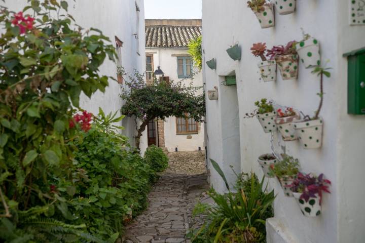 Los patios floreados no pueden faltar en los recovecos de este pueblo gaditano.