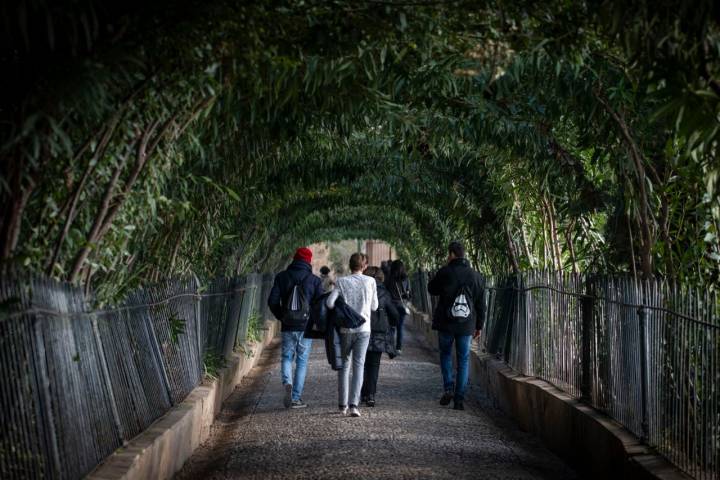 A primera hora de la mañana, el paseo por debajo de las enredaderas y parterres.