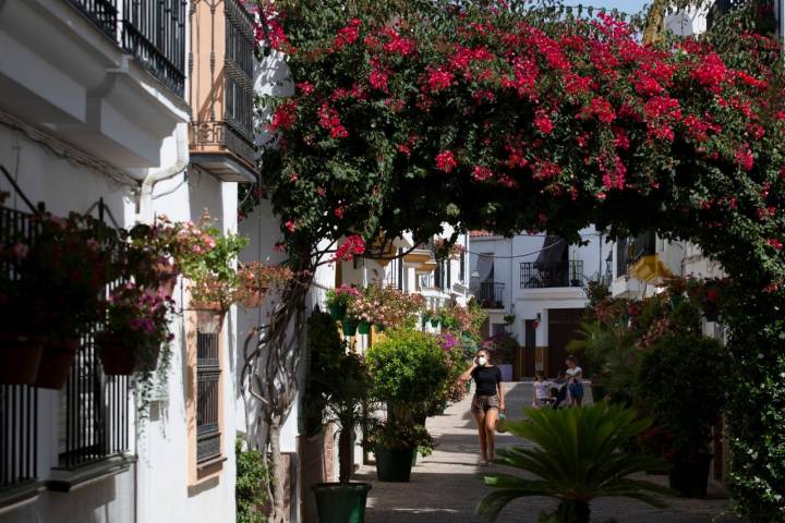 Estepona (Málaga)