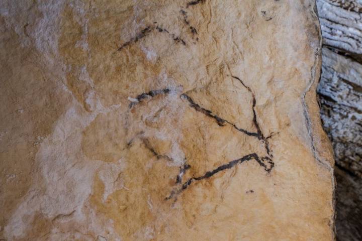 La pintura rupestre de una cabra, en la sala de las Columnas de Hércules, en las Galerías Altas. Foto: Fundación Cueva de Nerja.