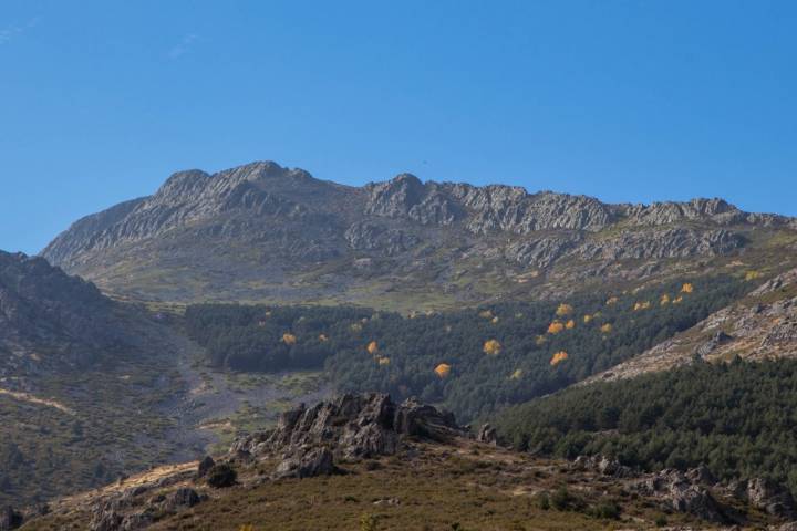 Valverde de los Arroyos