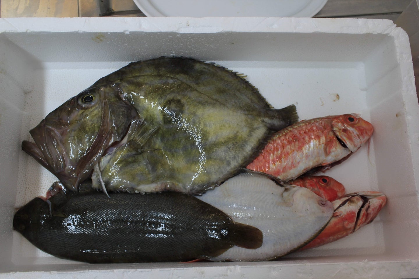 A Casa do Tella E Rosalia