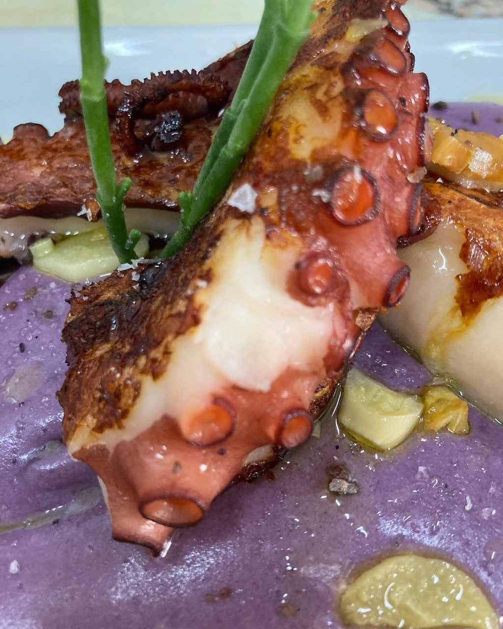 Gafiq Gastronómico