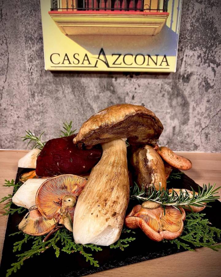 Casa Azcona