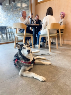 Foto cedida por el restaurante