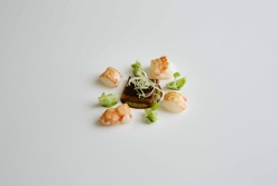 17/7/15 Cigala con adobos. Plato de Francis Paniego, El Portal de Echaurren, Ezcaray, La Rioja, España. Foto de James Sturcke | www.sturcke.org