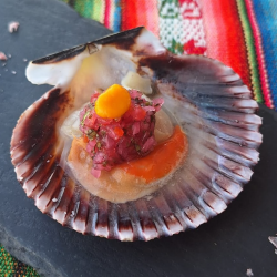Foto Instagram Restaurante