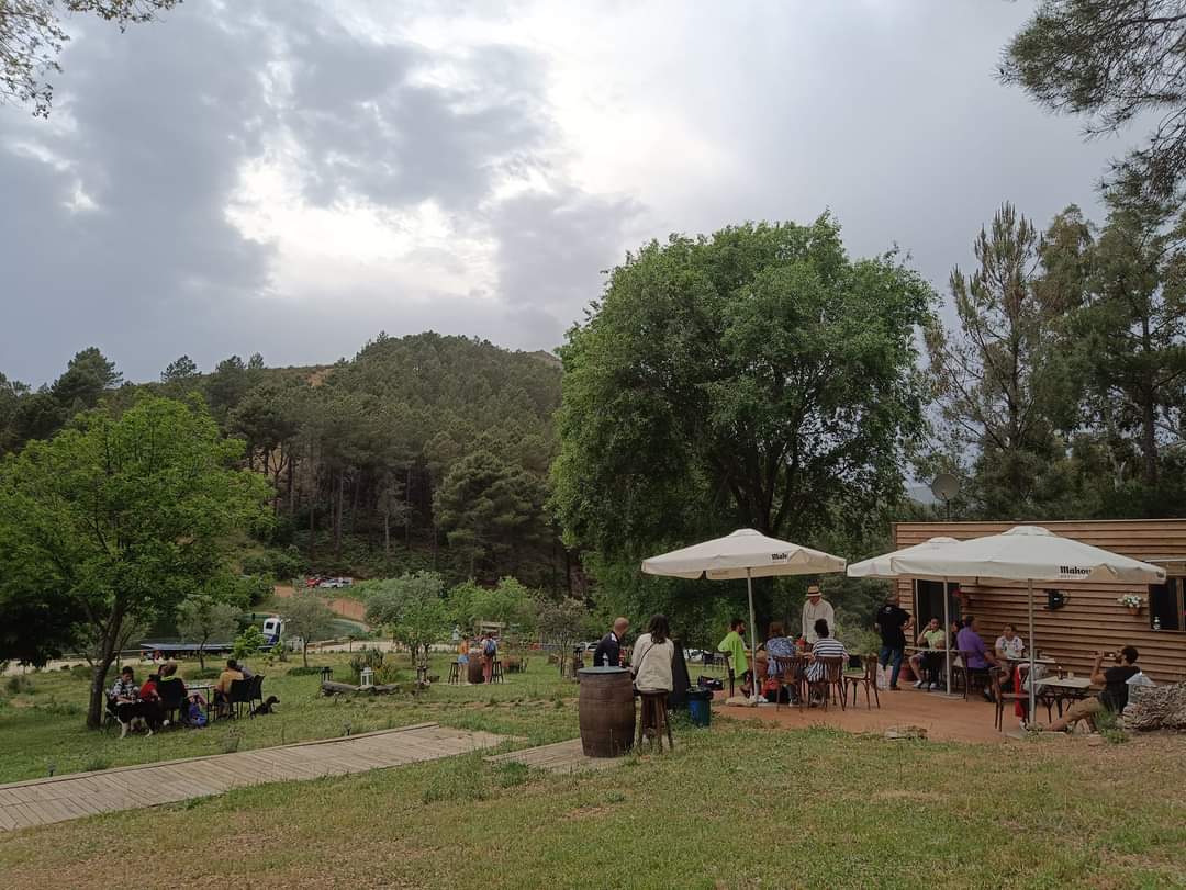 El Collao