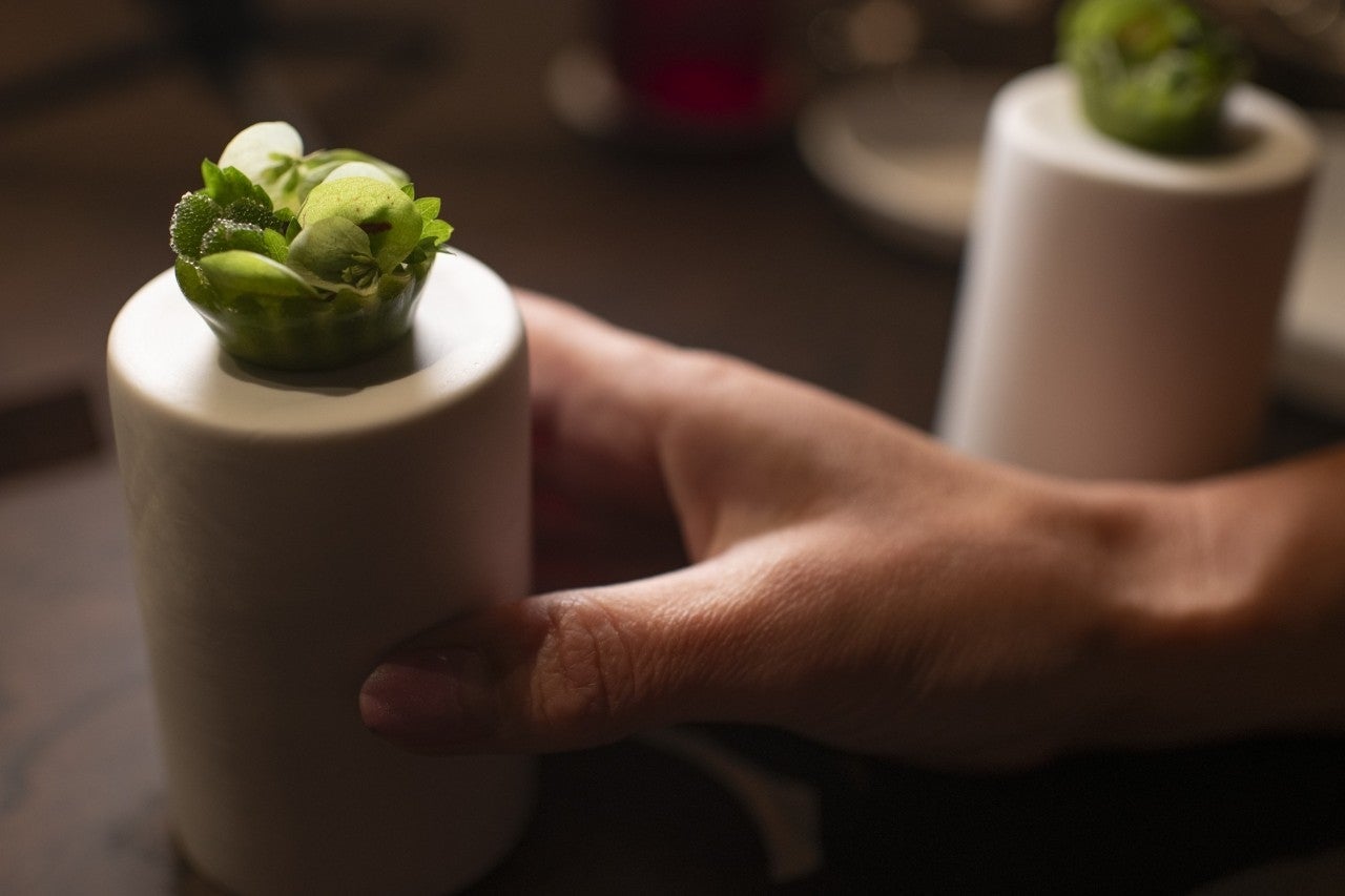 Ramón Freixa Atelier