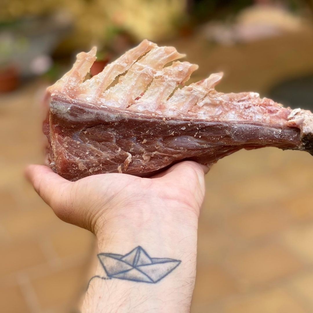 Bestia Marina