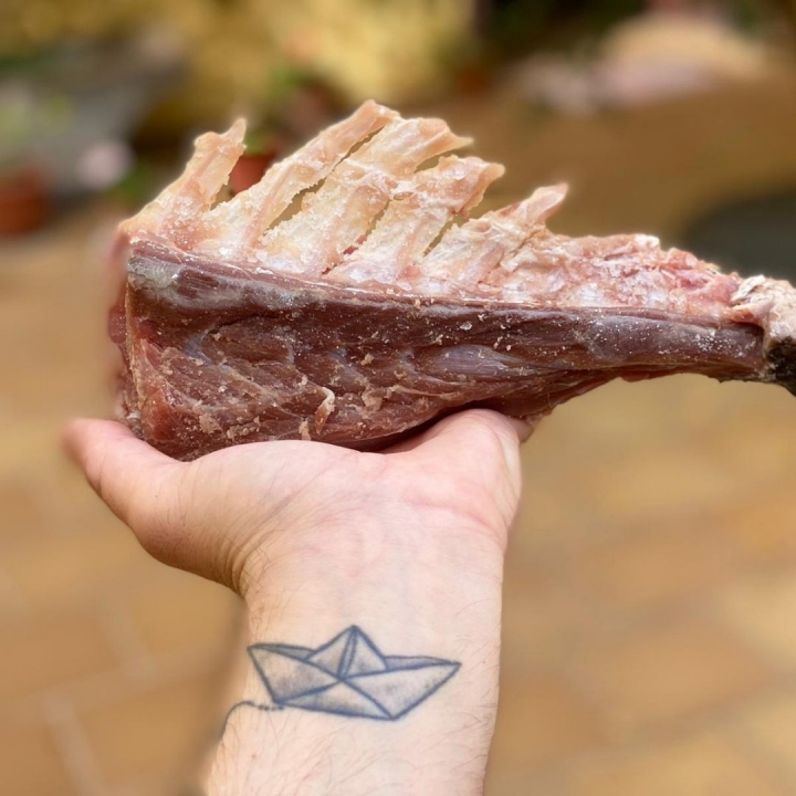 Bestia Marina