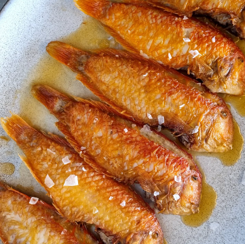 Cal Tito