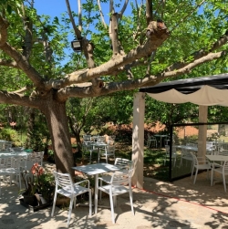 Foto redes sociales restaurante