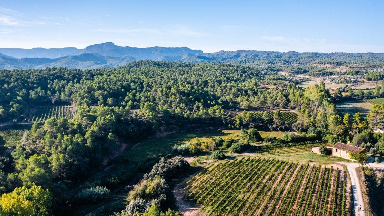 Bodega Venta d'Aubert