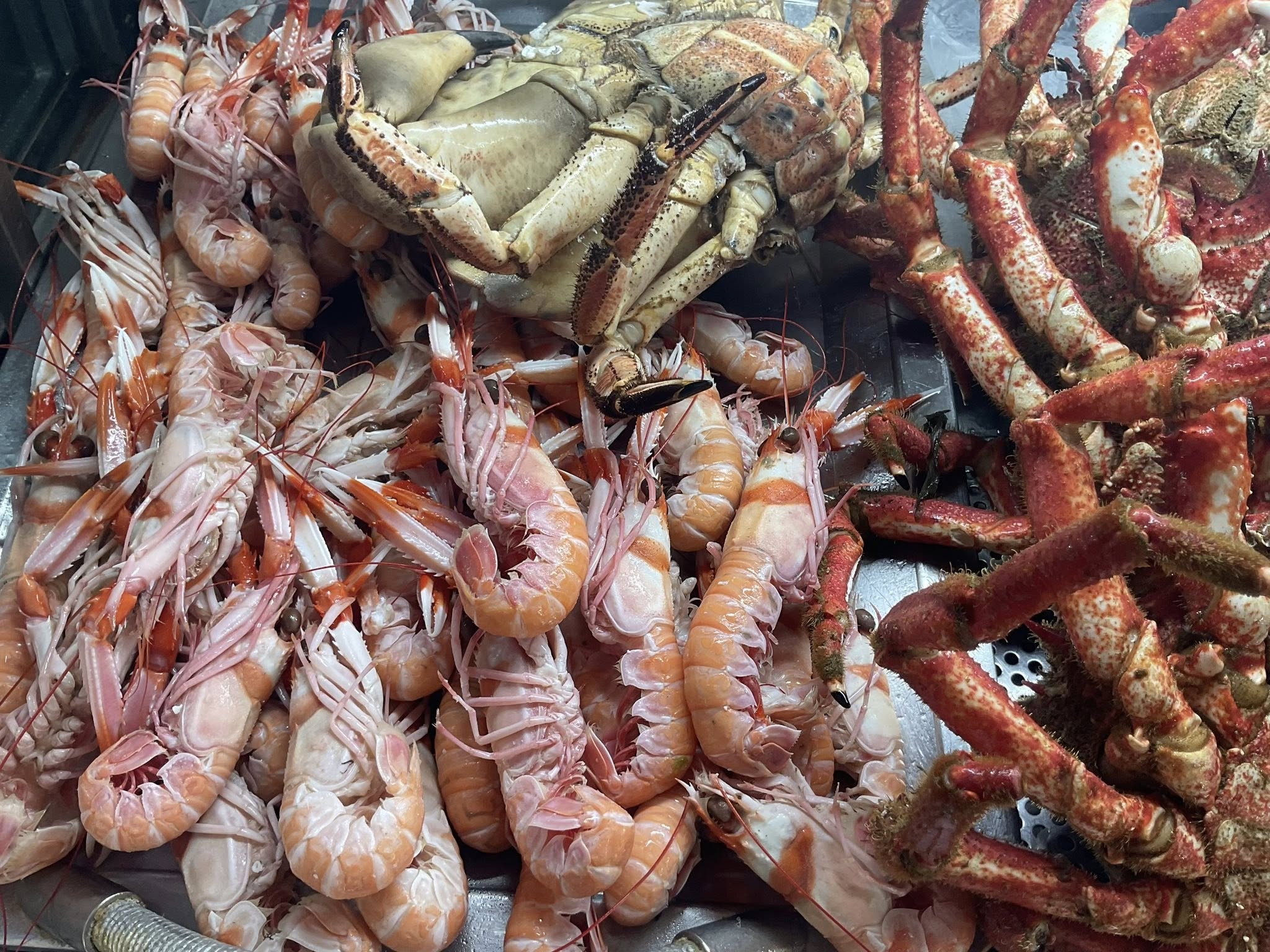 Café Brasil Marisqueira