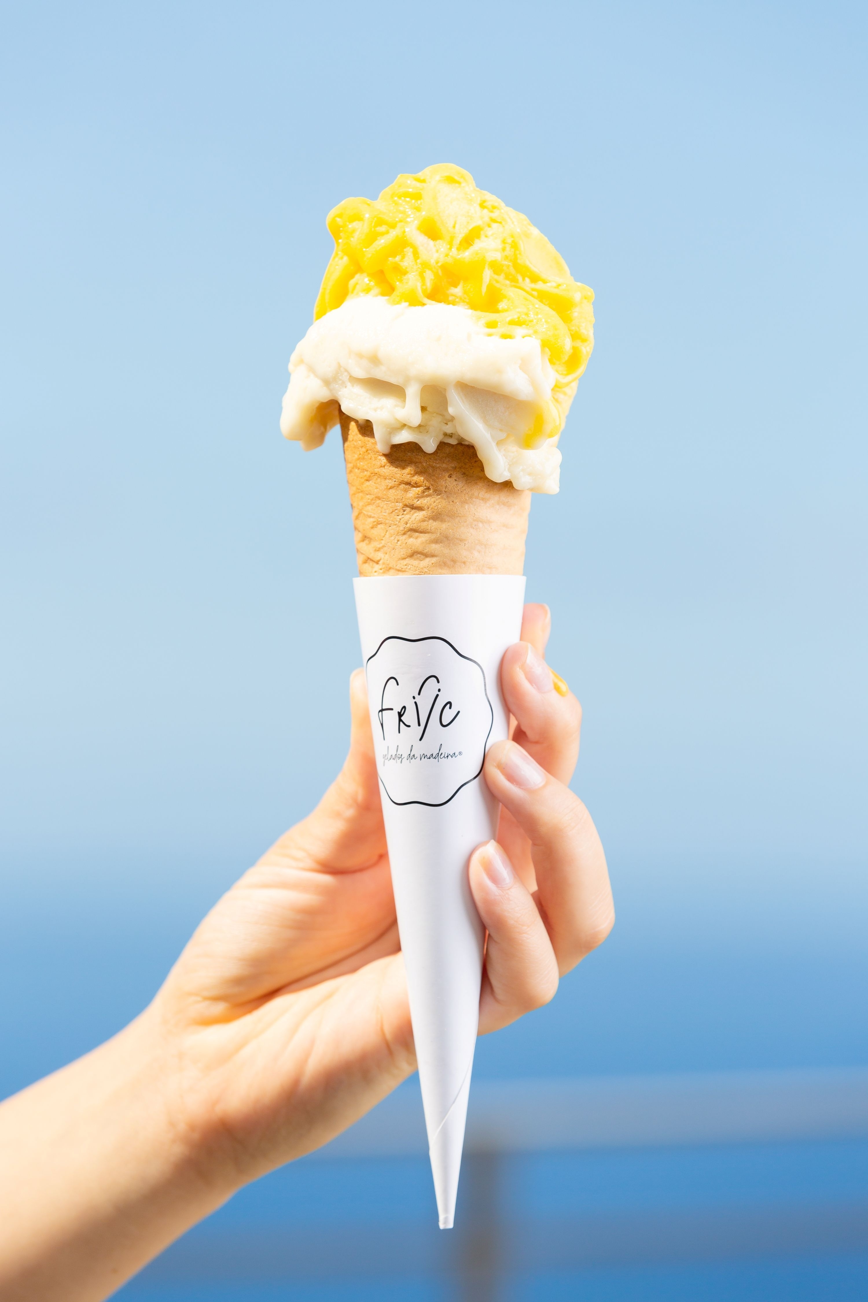 FRIIC - Gelados de Fruta da Madeira