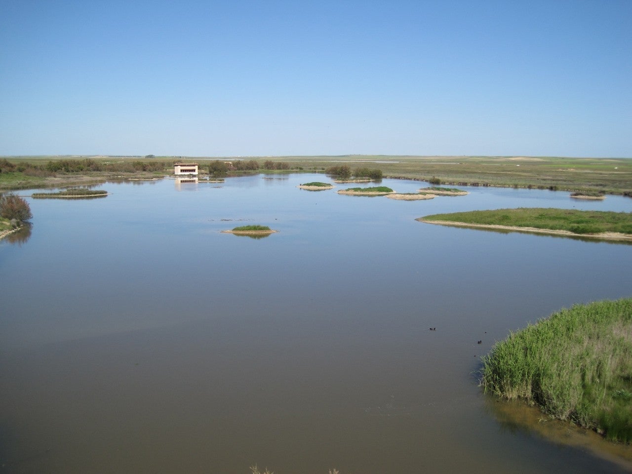 Villarrín de Campos
