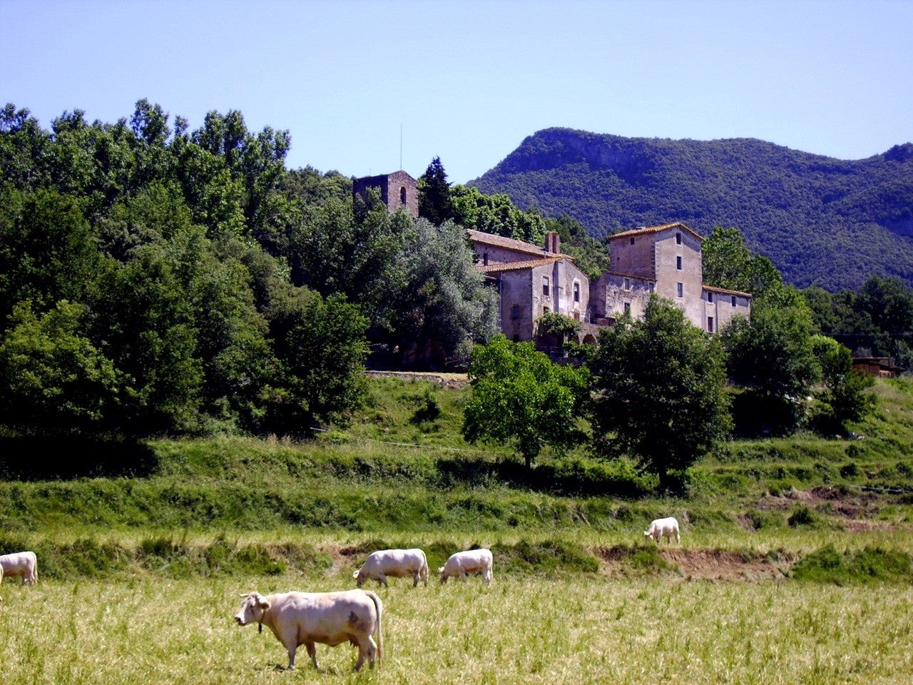 Sant Martí de Llémena