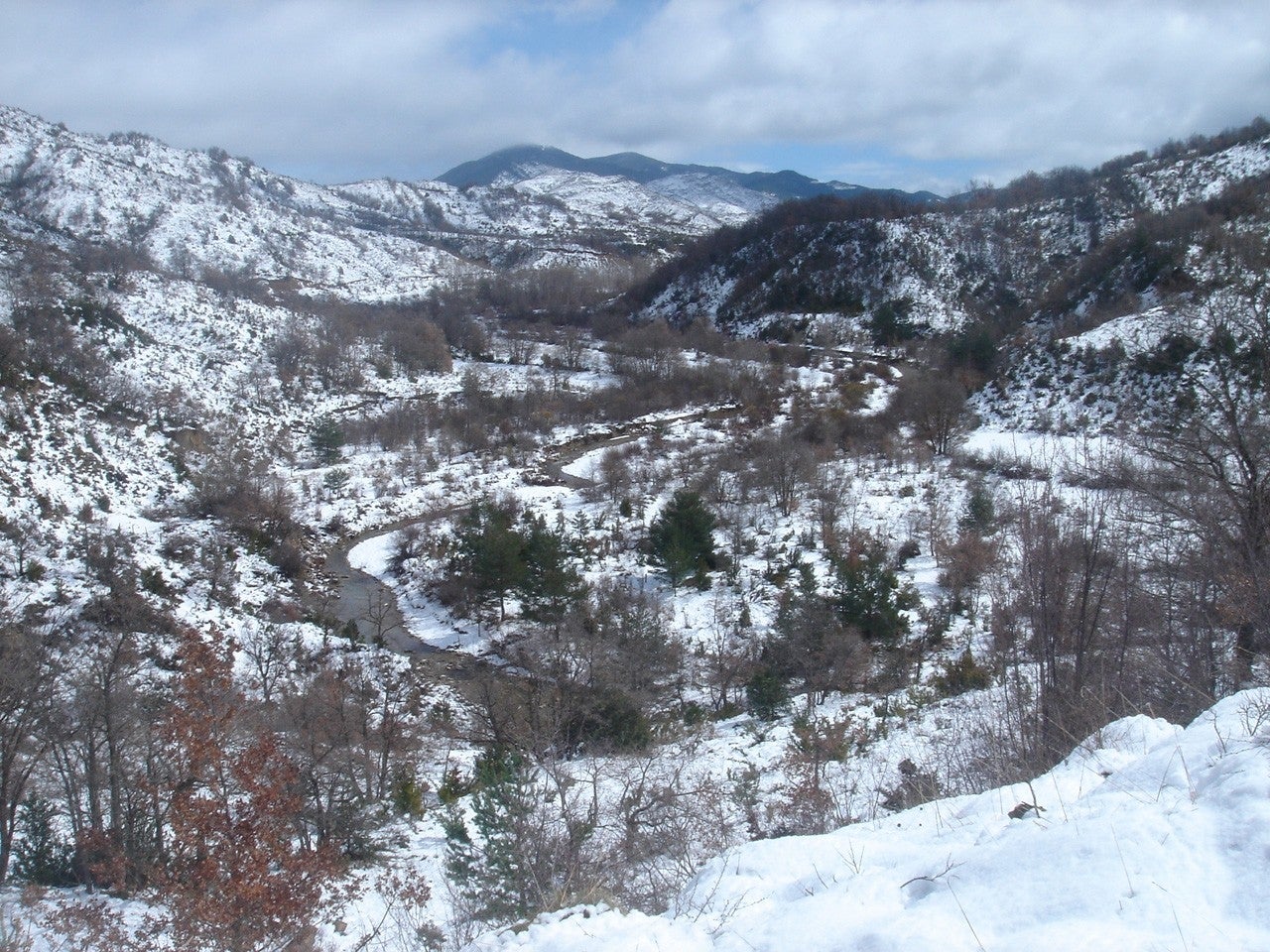 Lobera de Onsella