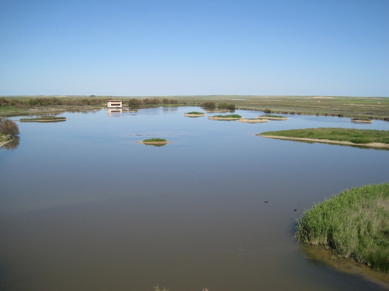 Villafáfila