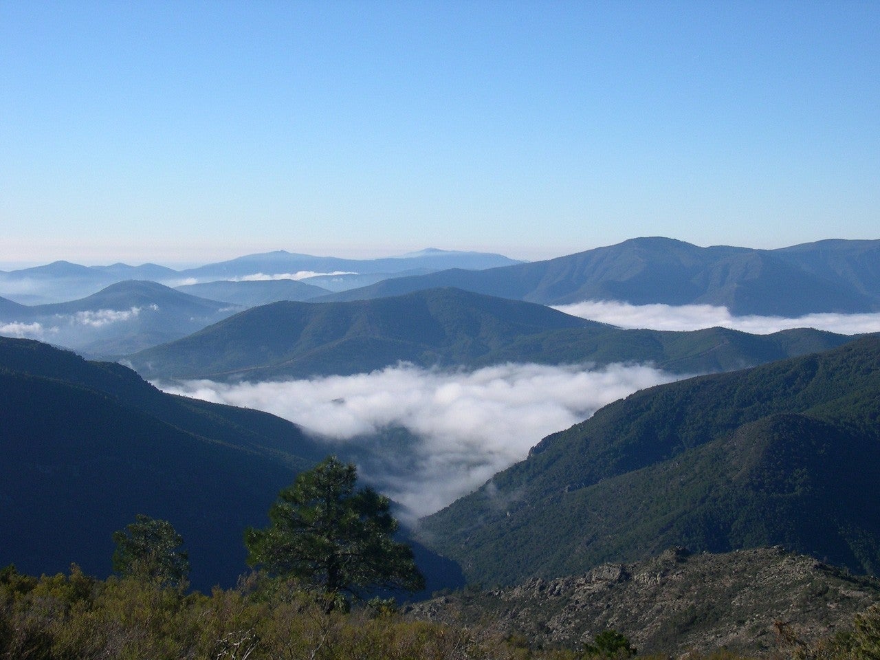 Cilleros de la Bastida