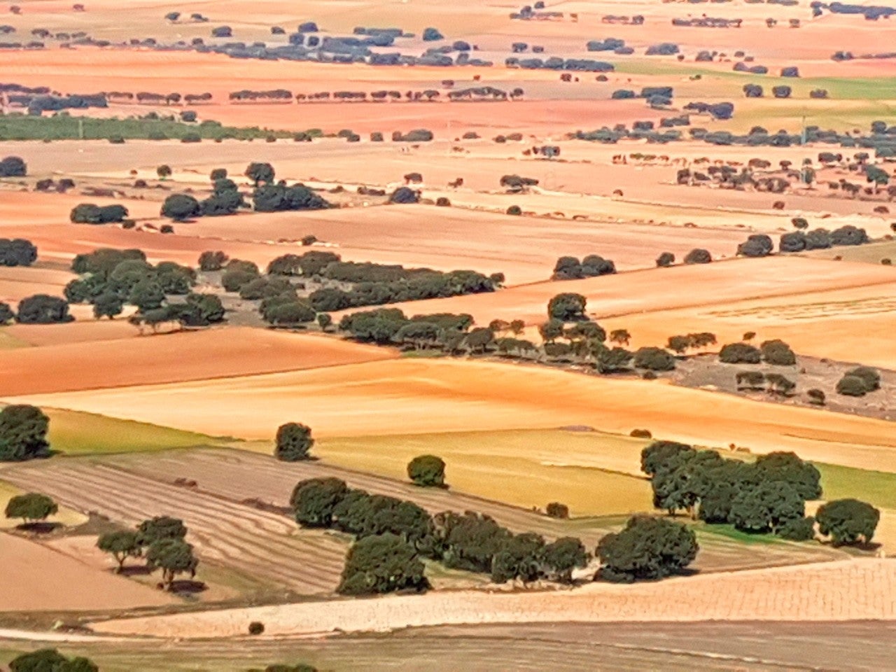 Higueruela