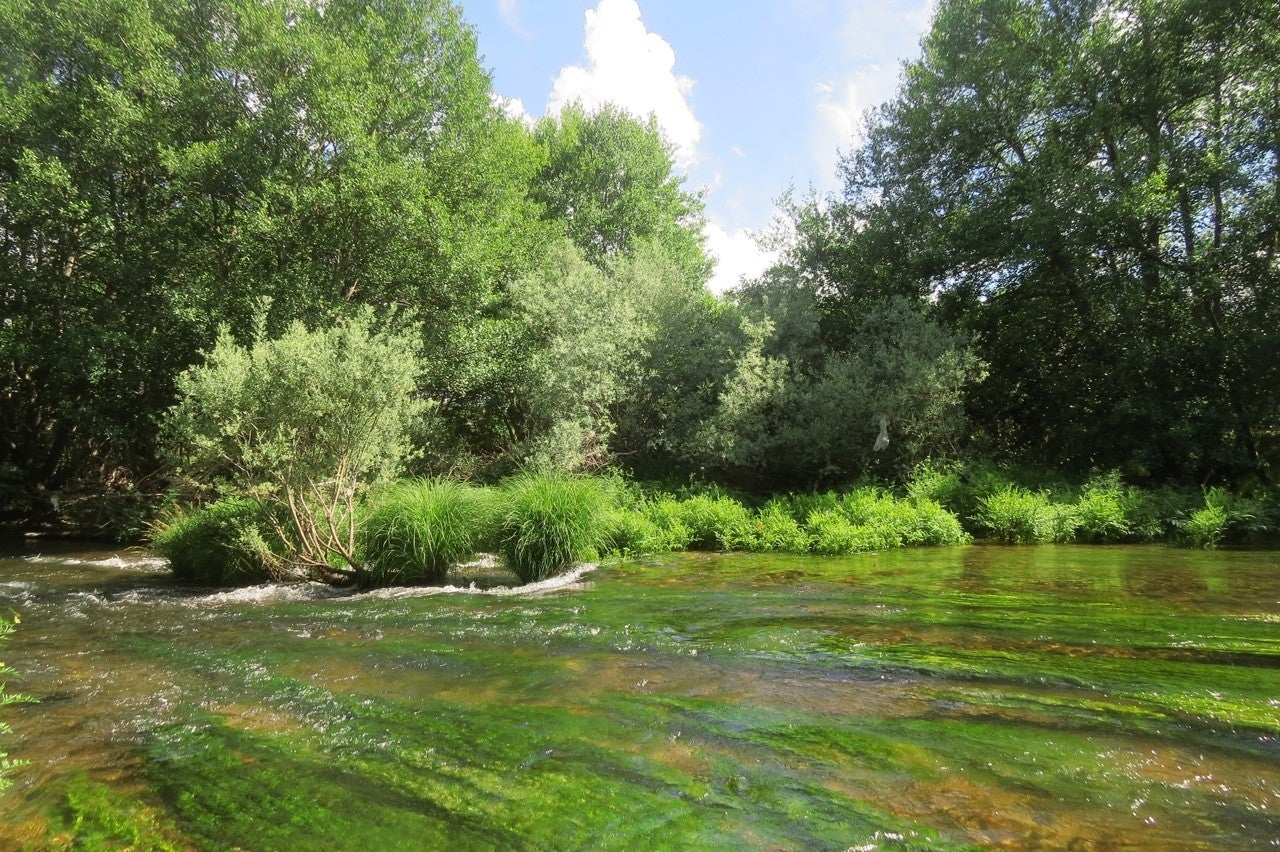 Maire de Castroponce