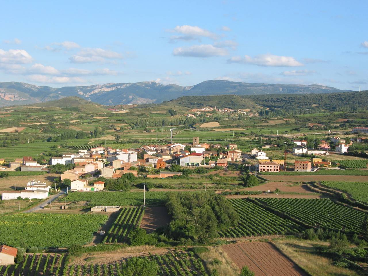 Medrano